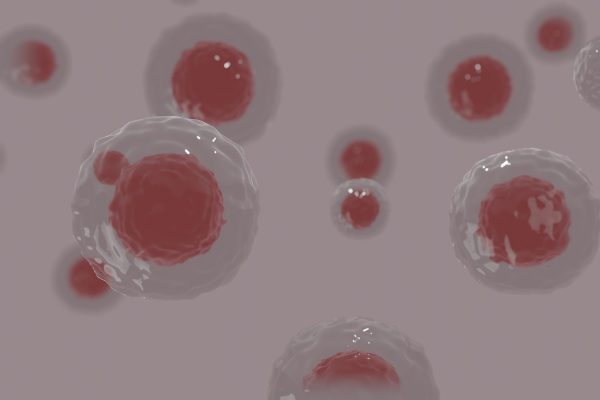 Can Stem Cells Regrow Teeth? A Look at the Latest Research